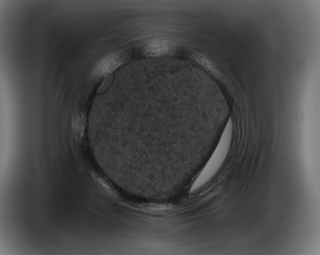 X0000086240458200704191824