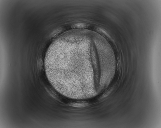 X0000086240459200704191824