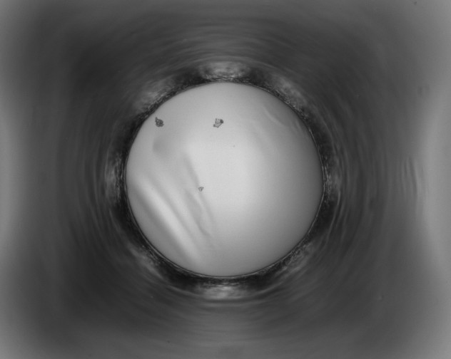 X0000086240460200704191824