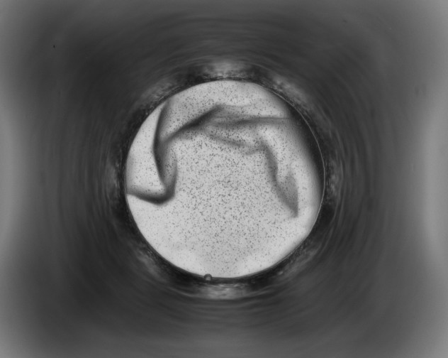 X0000086240461200704191824