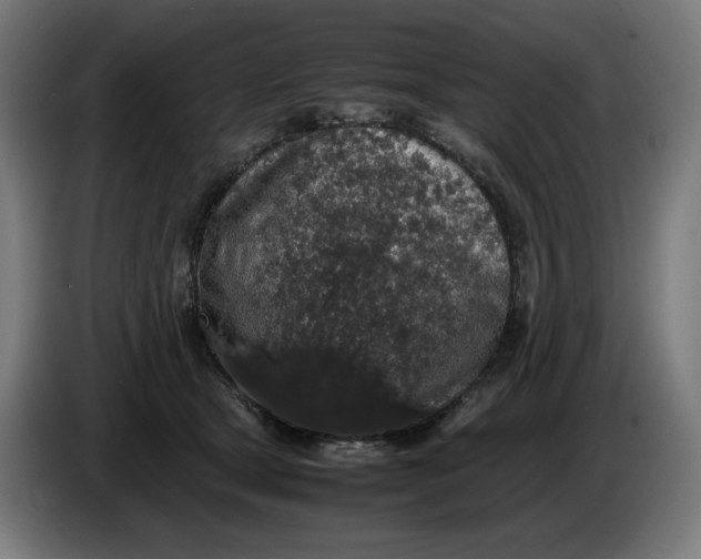 X0000086240465200704191825