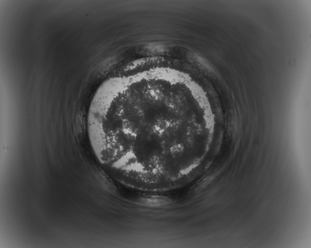 X0000086240467200704191825