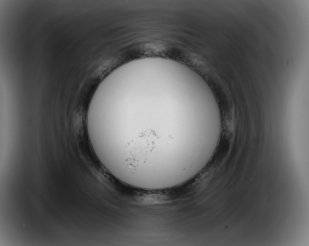 X0000086240468200704191825