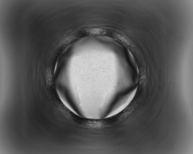 X0000086240469200704191825