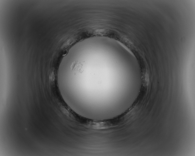 X0000086240472200704191825