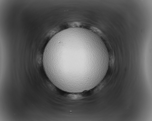 X0000086240477200704191825