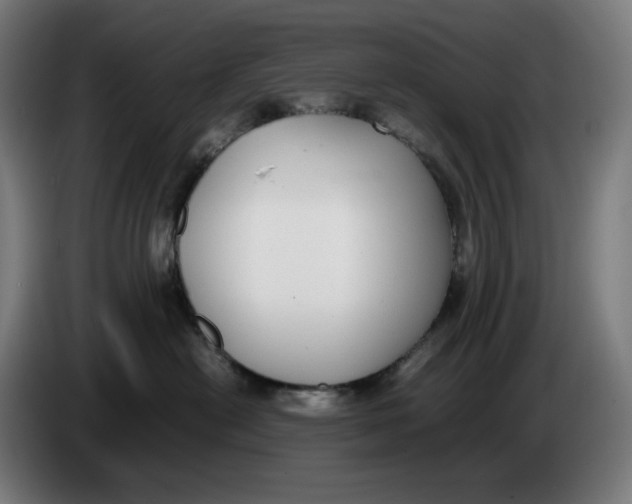 X0000086240478200704191825