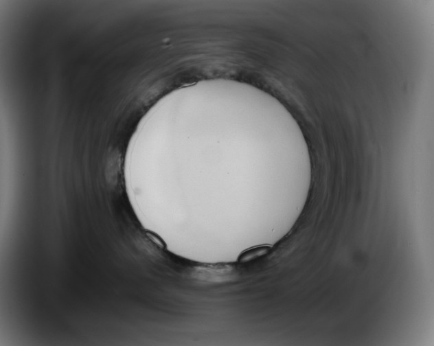 X0000086240480200704191825
