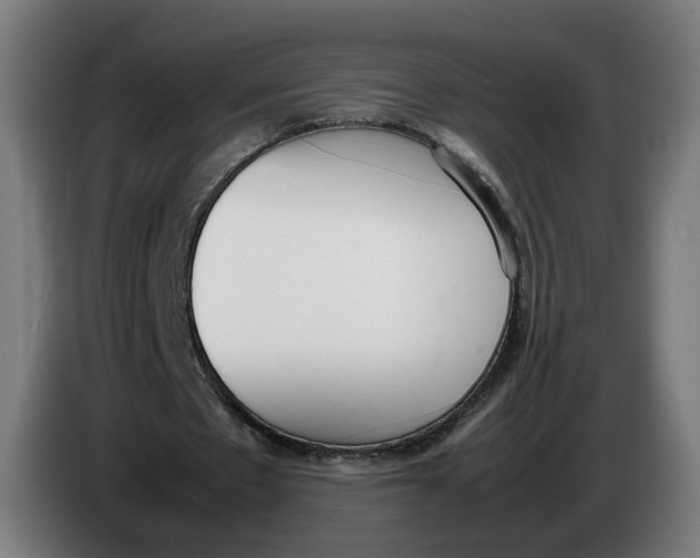 X0000086240481200704191824