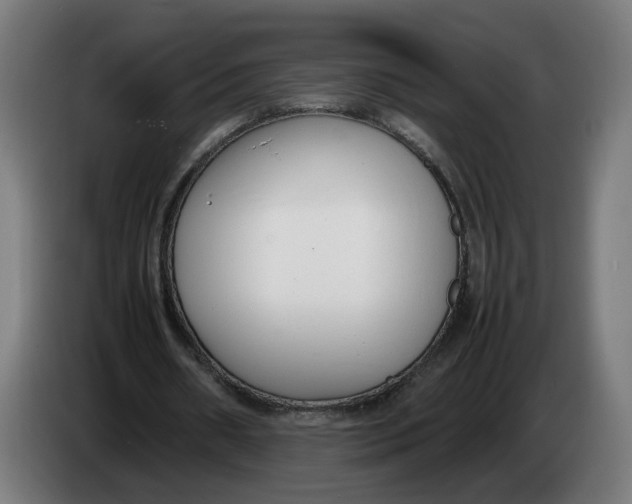 X0000086240482200704191824
