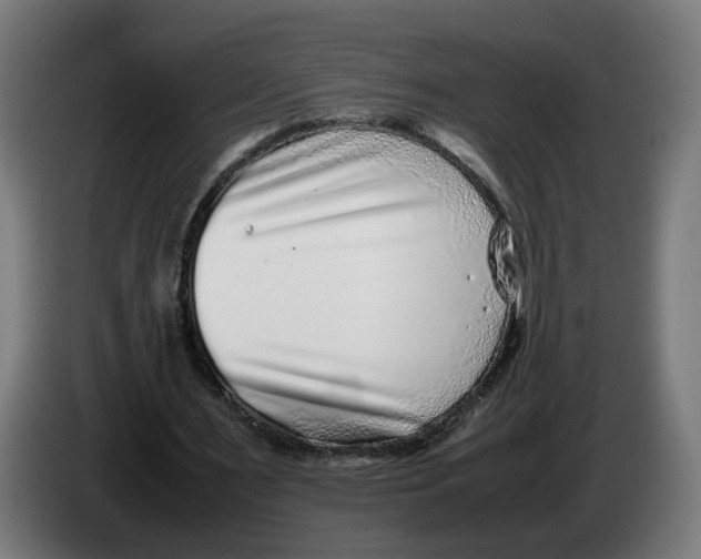 X0000086240483200704191824