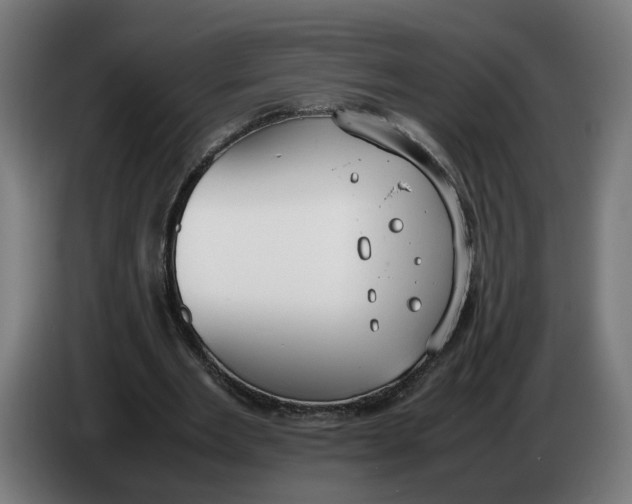 X0000086240485200704191824