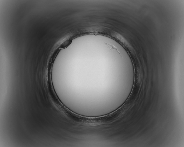 X0000086240486200704191824