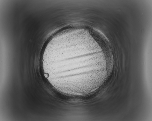 X0000086240487200704191824