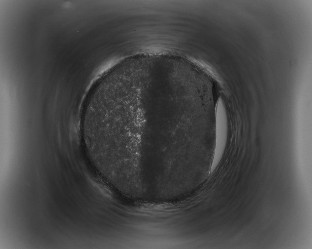 X0000086240488200704191824