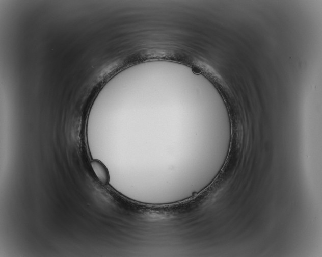 X0000086240490200704191824