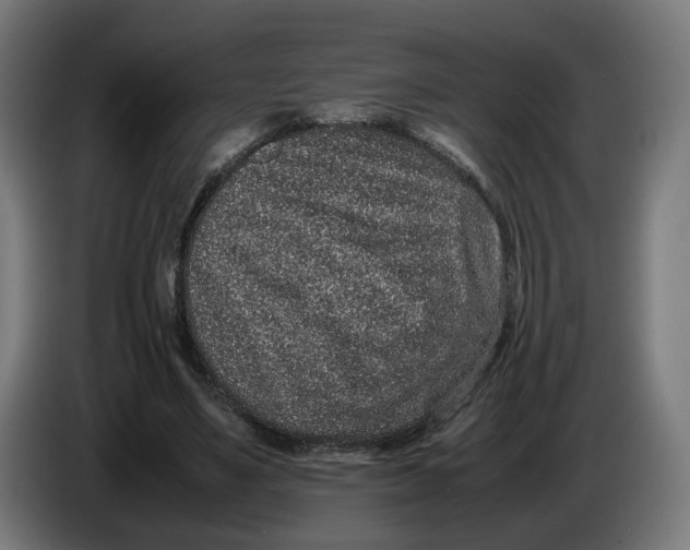X0000086240491200704191824