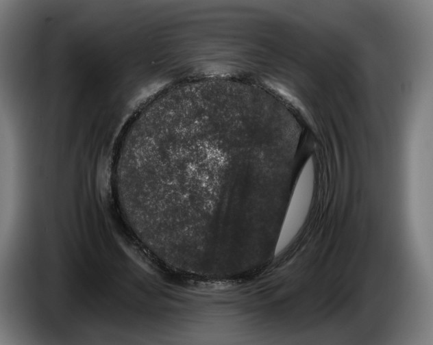 X0000086240492200704191824