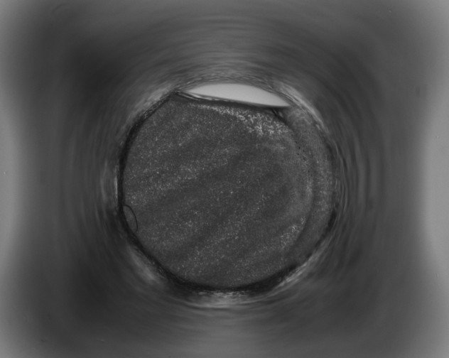 X0000086240493200704191824