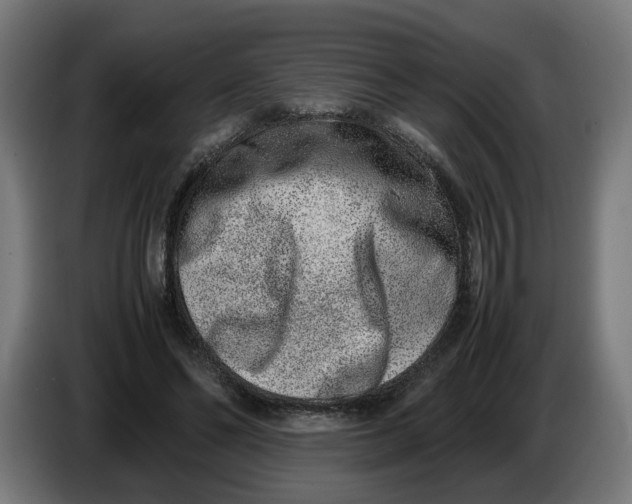 X0000086240494200704191824