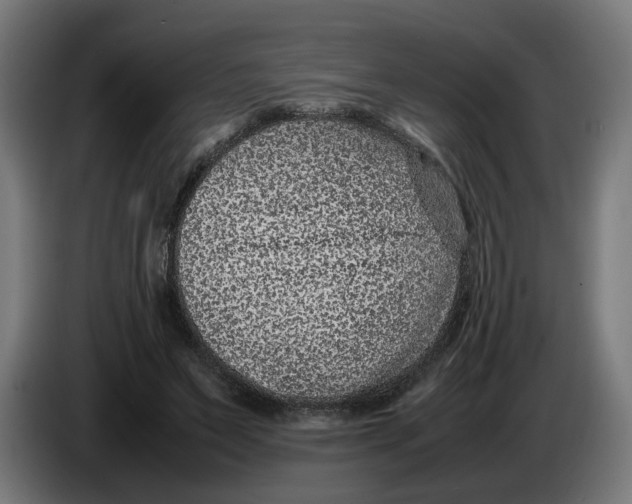 X0000086240495200704191824