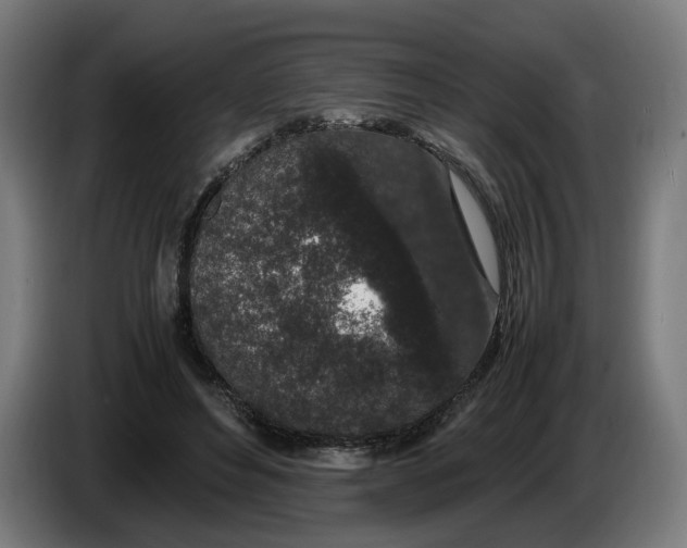 X0000086240496200704191824