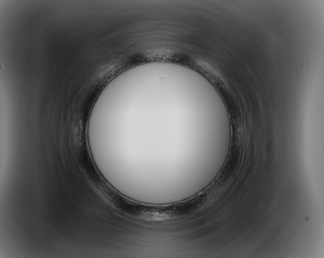 X0000086240498200704191824
