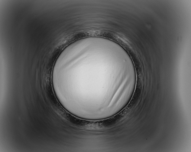 X0000086240499200704191824
