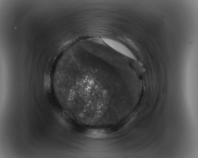 X0000086240500200704191824