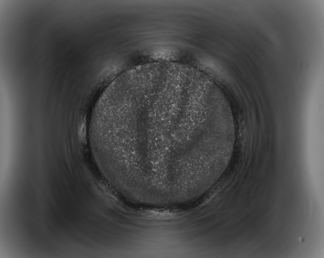 X0000086240502200704191824