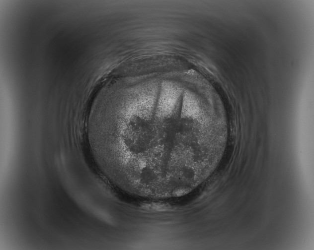 X0000086240503200704191824