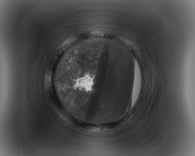 X0000086240504200704191824