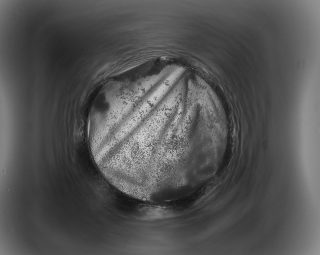 X0000086240507200704191824