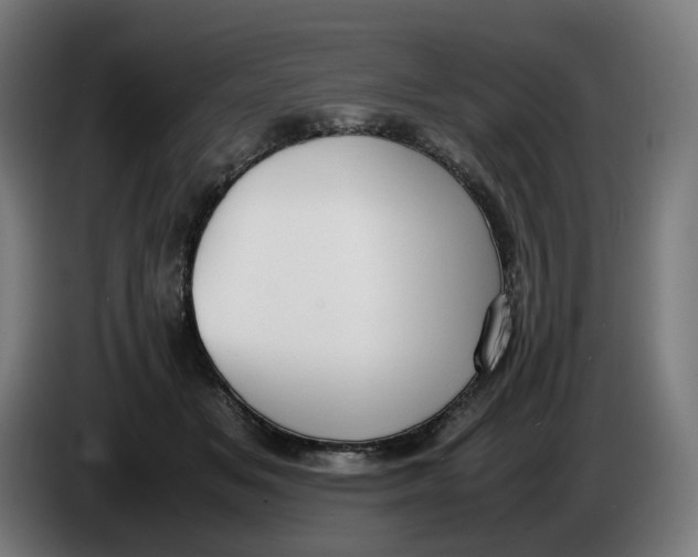 X0000086240509200704191824