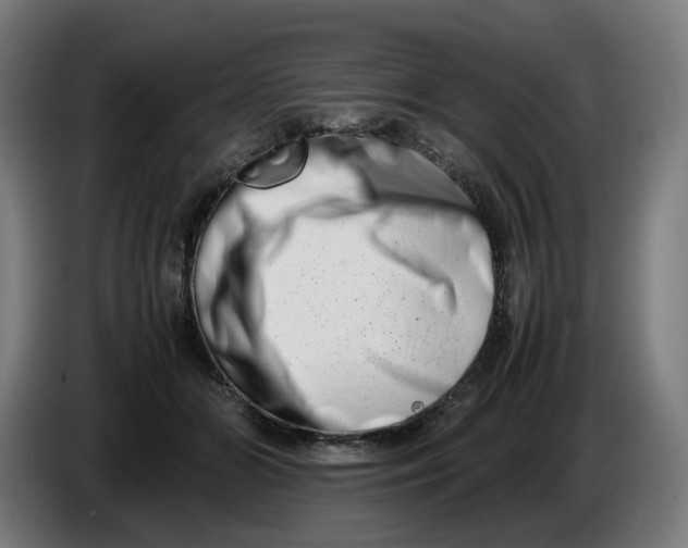 X0000086240510200704191824
