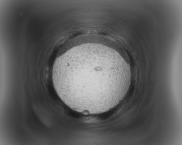 X0000086240511200704191824