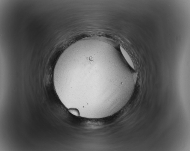 X0000086240515200704191824