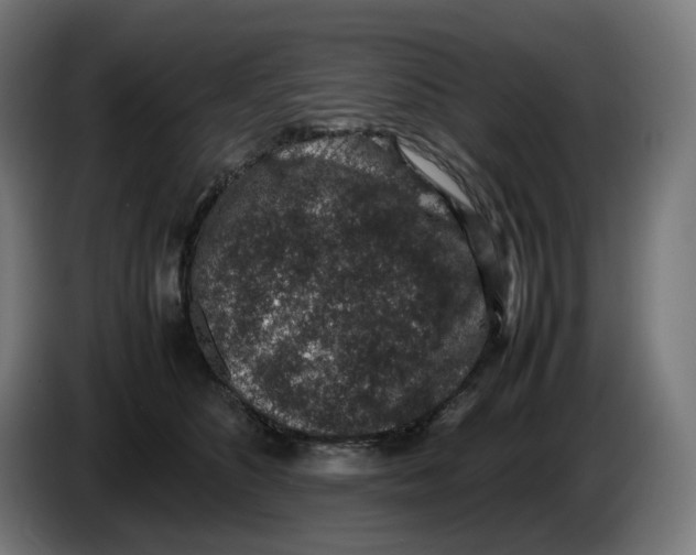 X0000086240516200704191824