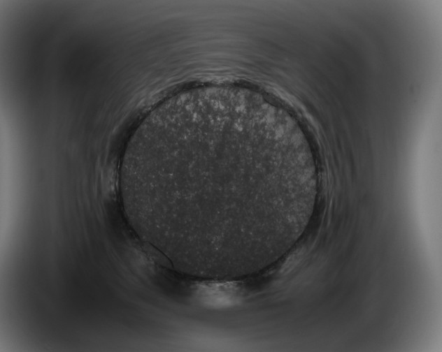 X0000086240517200704191824