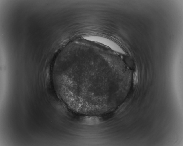 X0000086240520200704191824