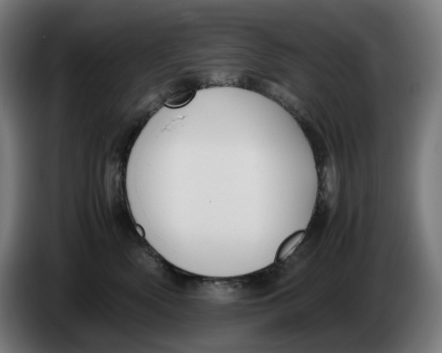 X0000086240522200704191824