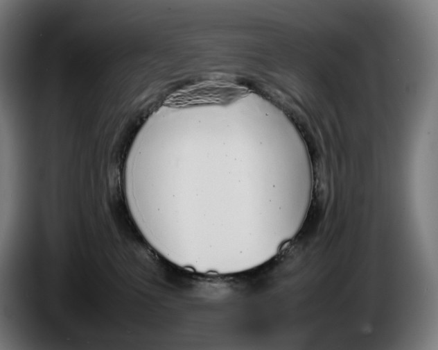 X0000086240523200704191823