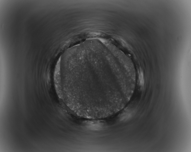 X0000086240524200704191823