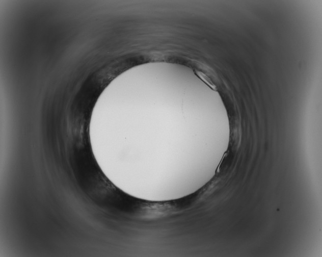 X0000086240525200704191823