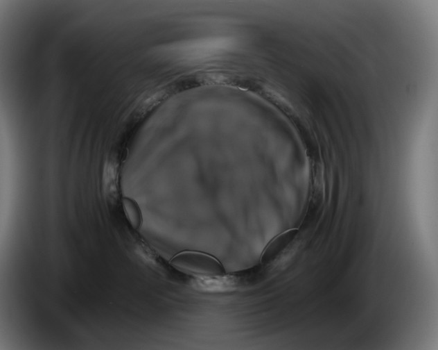X0000086240526200704191823