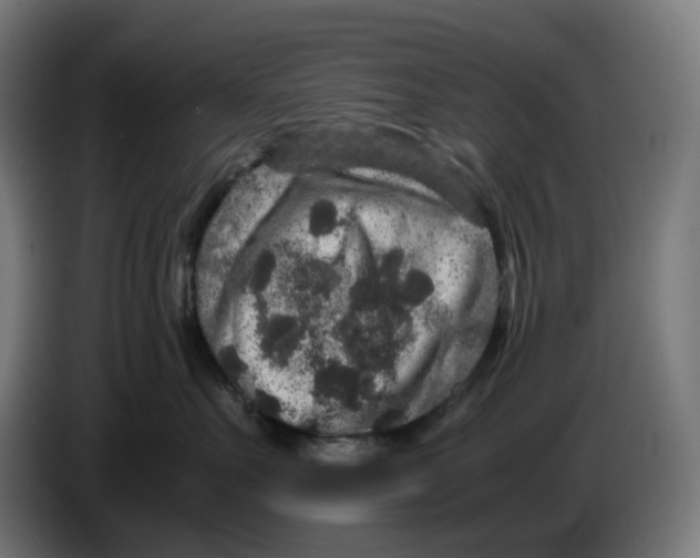 X0000086240527200704191823