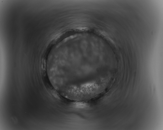 X0000086240528200704191823