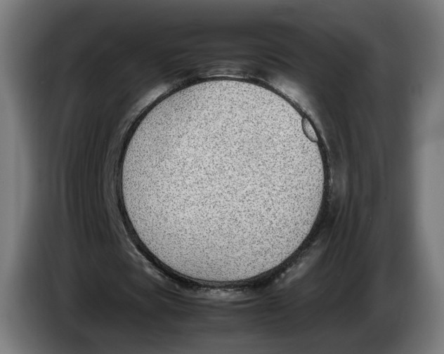X0000086240529200704191823