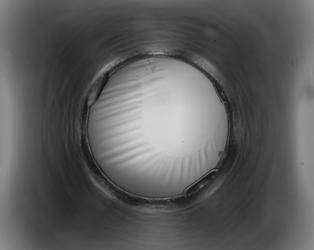 X0000086240530200704191823