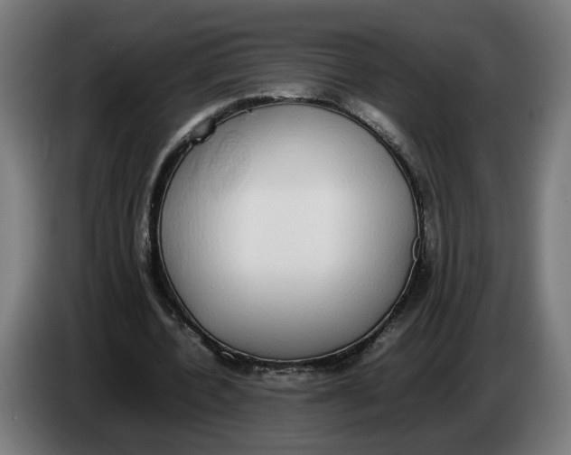 X0000086240532200704191823